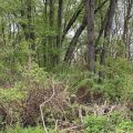 Slider image thumbail number 8