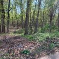 Slider image thumbail number 6