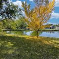 Slider image thumbail number 12