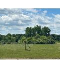 Slider image thumbail number 1