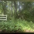 Slider image thumbail number 21