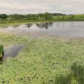 Slider image thumbail number 28