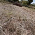 Slider image thumbail number 8