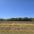 Slider image thumbail number 1
