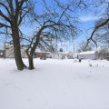 Slider image thumbail number 1