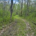Slider image thumbail number 2
