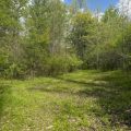 Slider image thumbail number 4