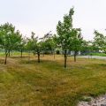 Slider image thumbail number 39