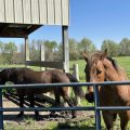 Slider image thumbail number 6