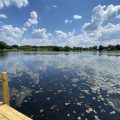 Slider image thumbail number 5