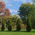 Slider image thumbail number 27