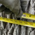 Slider image thumbail number 11