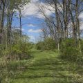 Slider image thumbail number 13