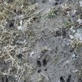 Slider image thumbail number 20