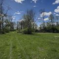 Slider image thumbail number 5