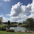 Slider image thumbail number 19