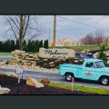 Slider image thumbail number 5