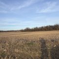 Slider image thumbail number 4