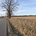 Slider image thumbail number 6