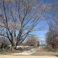 Slider image thumbail number 1