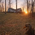 Slider image thumbail number 1