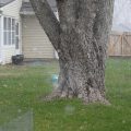 Slider image thumbail number 36
