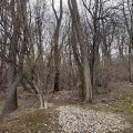 Slider image thumbail number 3