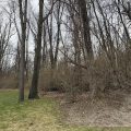 Slider image thumbail number 4