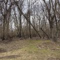 Slider image thumbail number 6