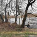 Slider image thumbail number 3