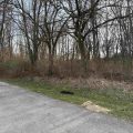 Slider image thumbail number 4