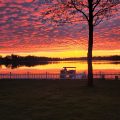Slider image thumbail number 8