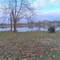 Slider image thumbail number 6