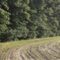 Slider image thumbail number 2