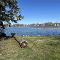 Slider image thumbail number 5