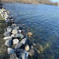 Slider image thumbail number 10