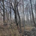 Slider image thumbail number 1