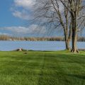 Slider image thumbail number 8