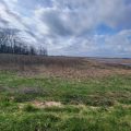 Slider image thumbail number 3