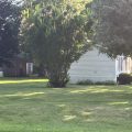 Slider image thumbail number 5