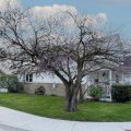 Slider image thumbail number 3