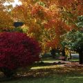 Slider image thumbail number 31