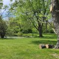 Slider image thumbail number 12