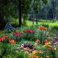 Slider image thumbail number 20