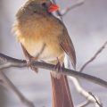 Slider image thumbail number 24