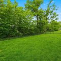 Slider image thumbail number 31