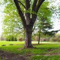 Slider image thumbail number 10