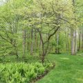 Slider image thumbail number 33