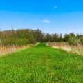Slider image thumbail number 11