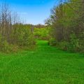 Slider image thumbail number 12